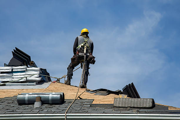 Professional Roof Replacement technician working in Coinjock, NC